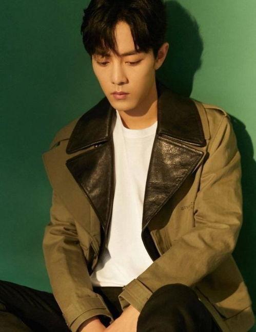 娱乐圈吃瓜爆料肖战视频